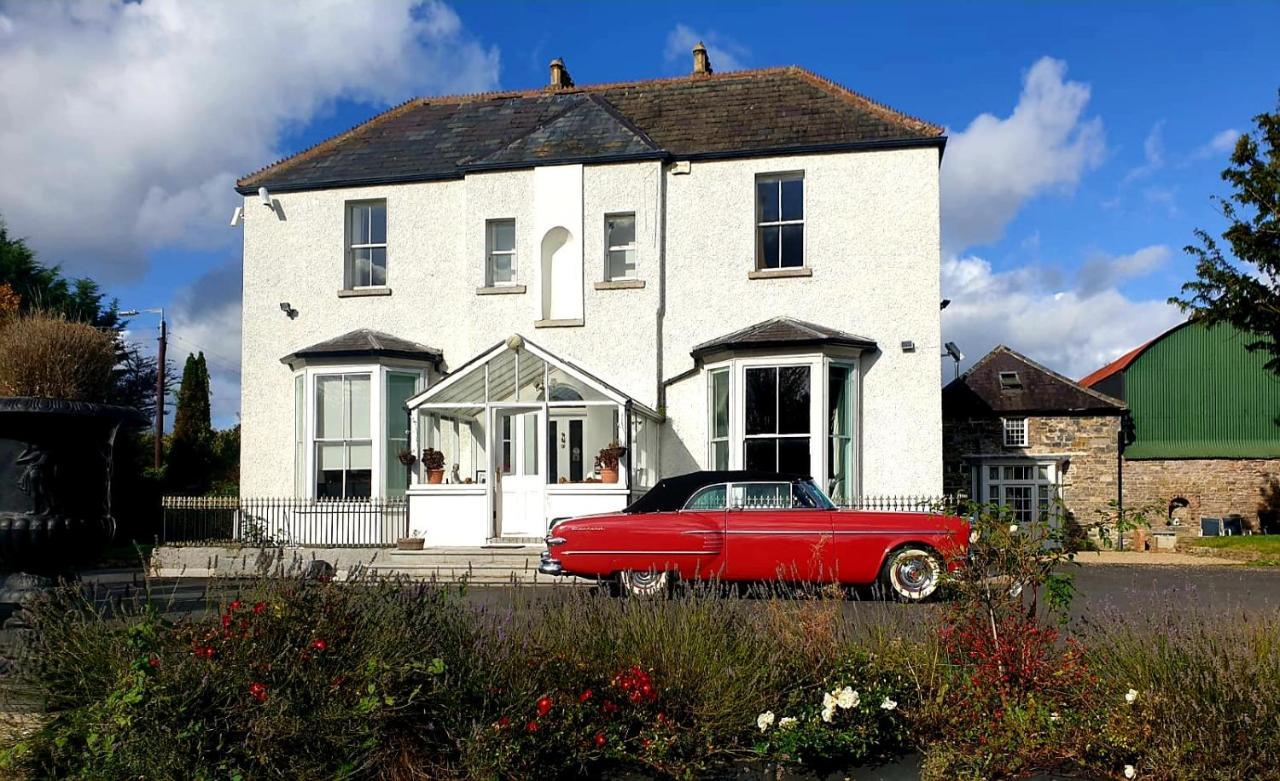 Mount Pleasant Country House Guest House Lucan Exterior photo