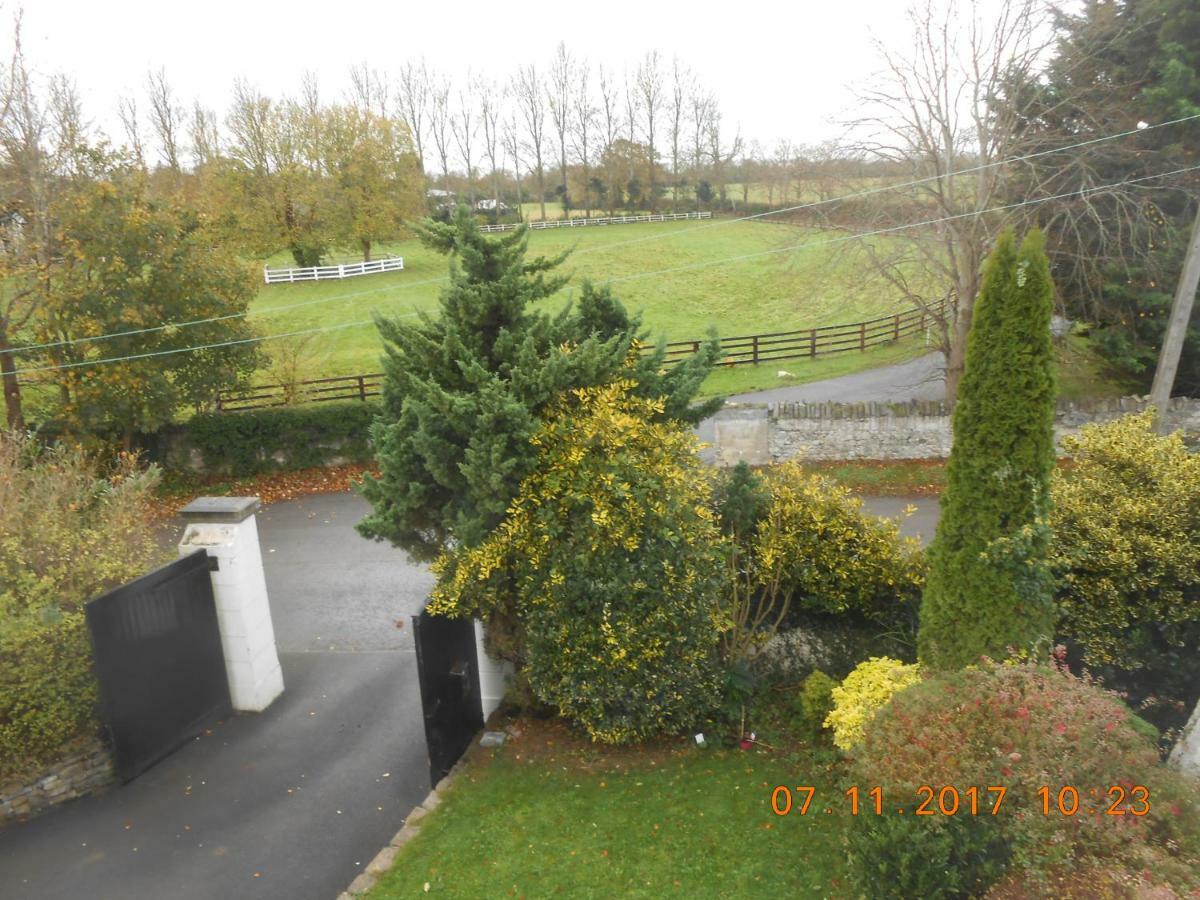 Mount Pleasant Country House Guest House Lucan Exterior photo